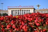 小banner1.jpeg